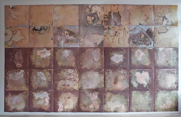 Cosmos , 100" x 168"- borax,epsom salt, salt on unprocessed photographic color paper (2010-2011) photos by Angela Jimenez