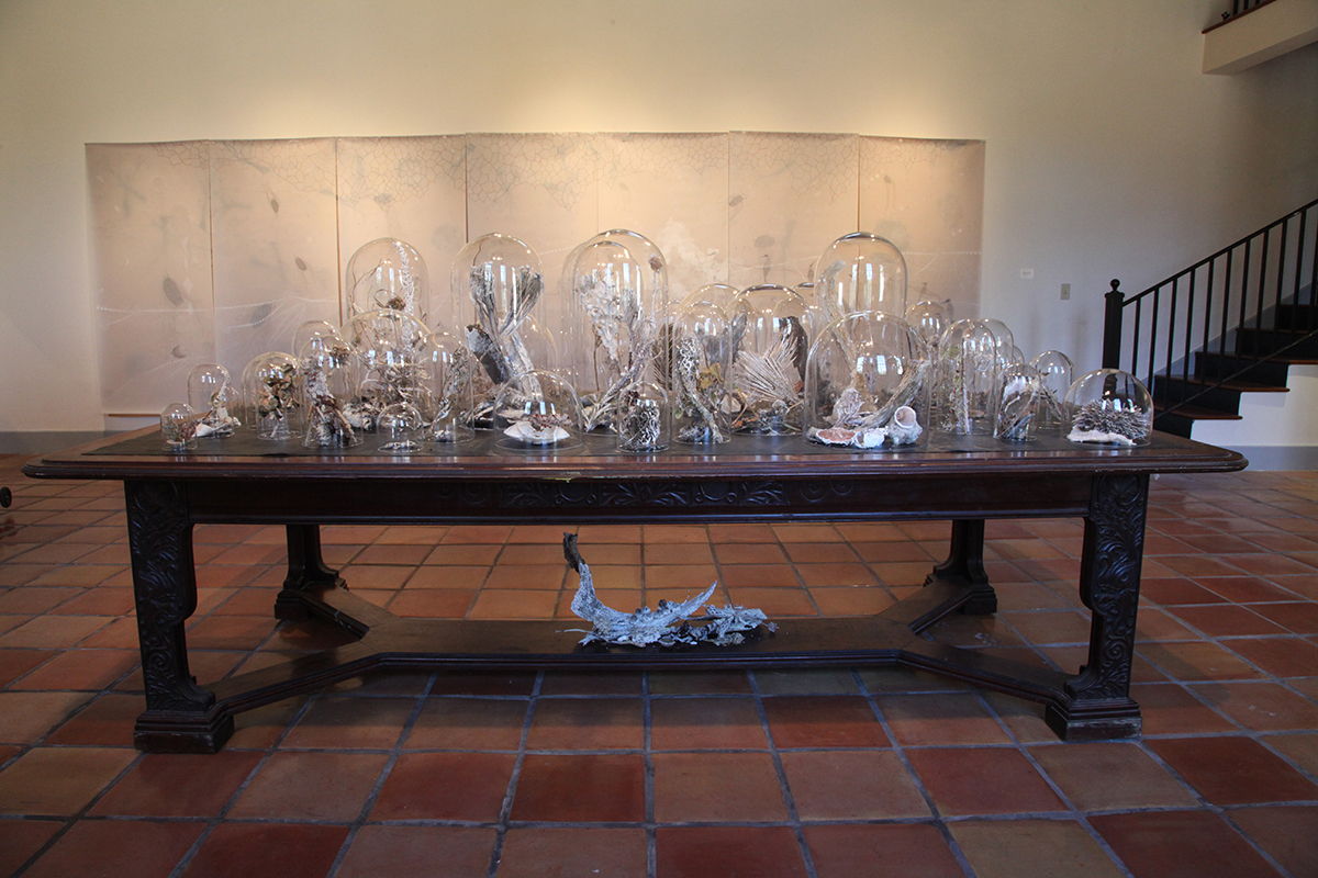 What the Ocean Left Behind , dimensions variable, collected debris from California and Florida, salt and borax crystals, glass bell jars (2009-2011)