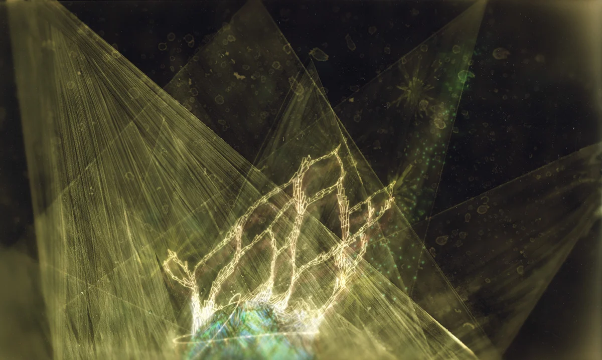 Refractions, 8” x 12", c-print (2008)