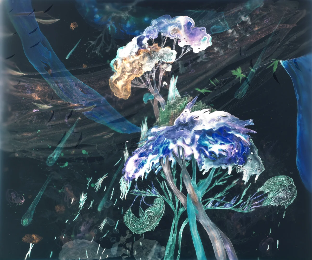 Coma Clusters , 20x24", c-print (2009)