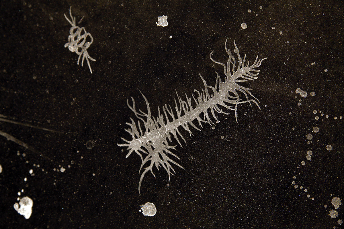 particles_detail_3 copy.jpg