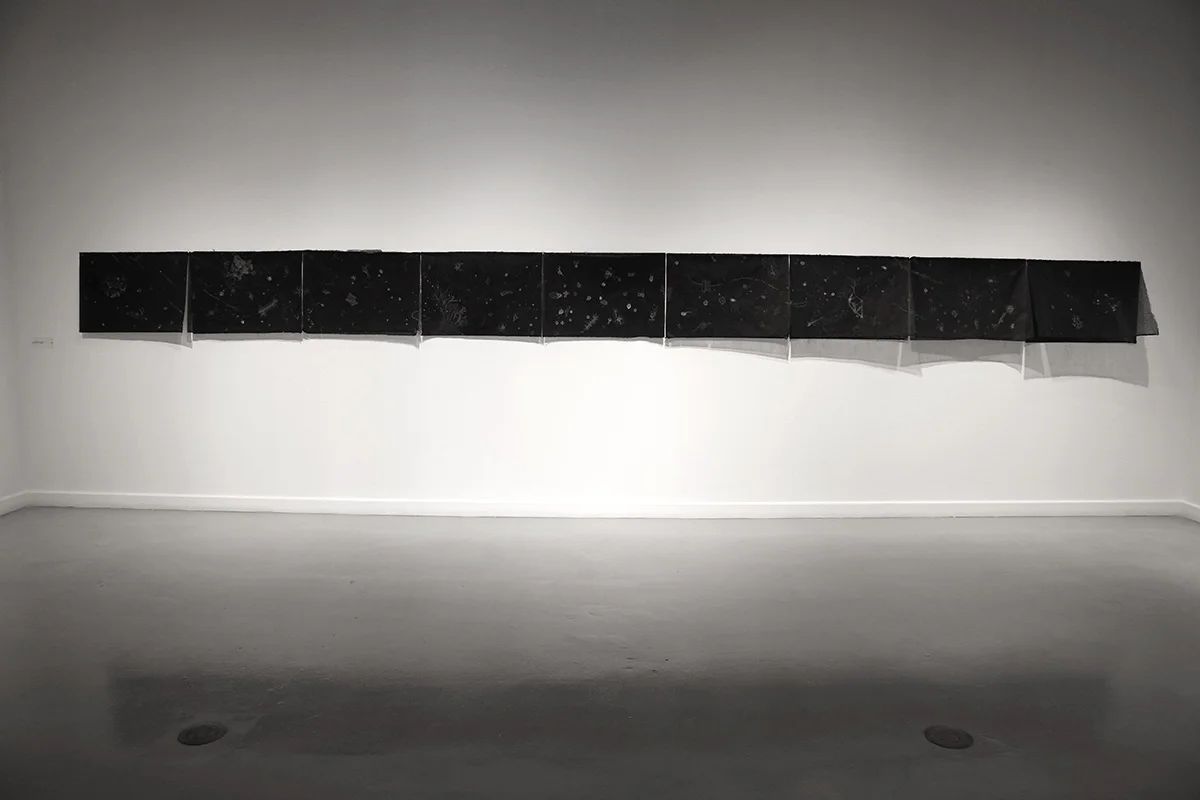 Particles , 21 1/2” x 281 1/4", salt crystals on Tengucho black kozo paper (2010)