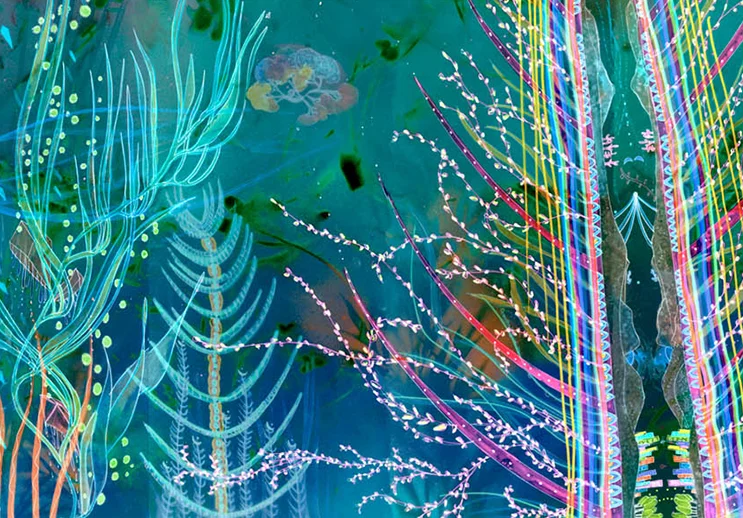 detail of Where the Sea and Cosmos Meet