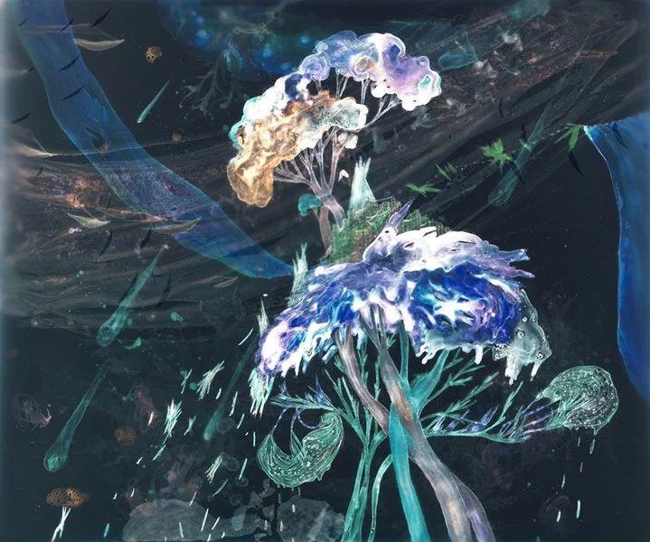 Coma Clusters , 20”x24", c-print (2009)