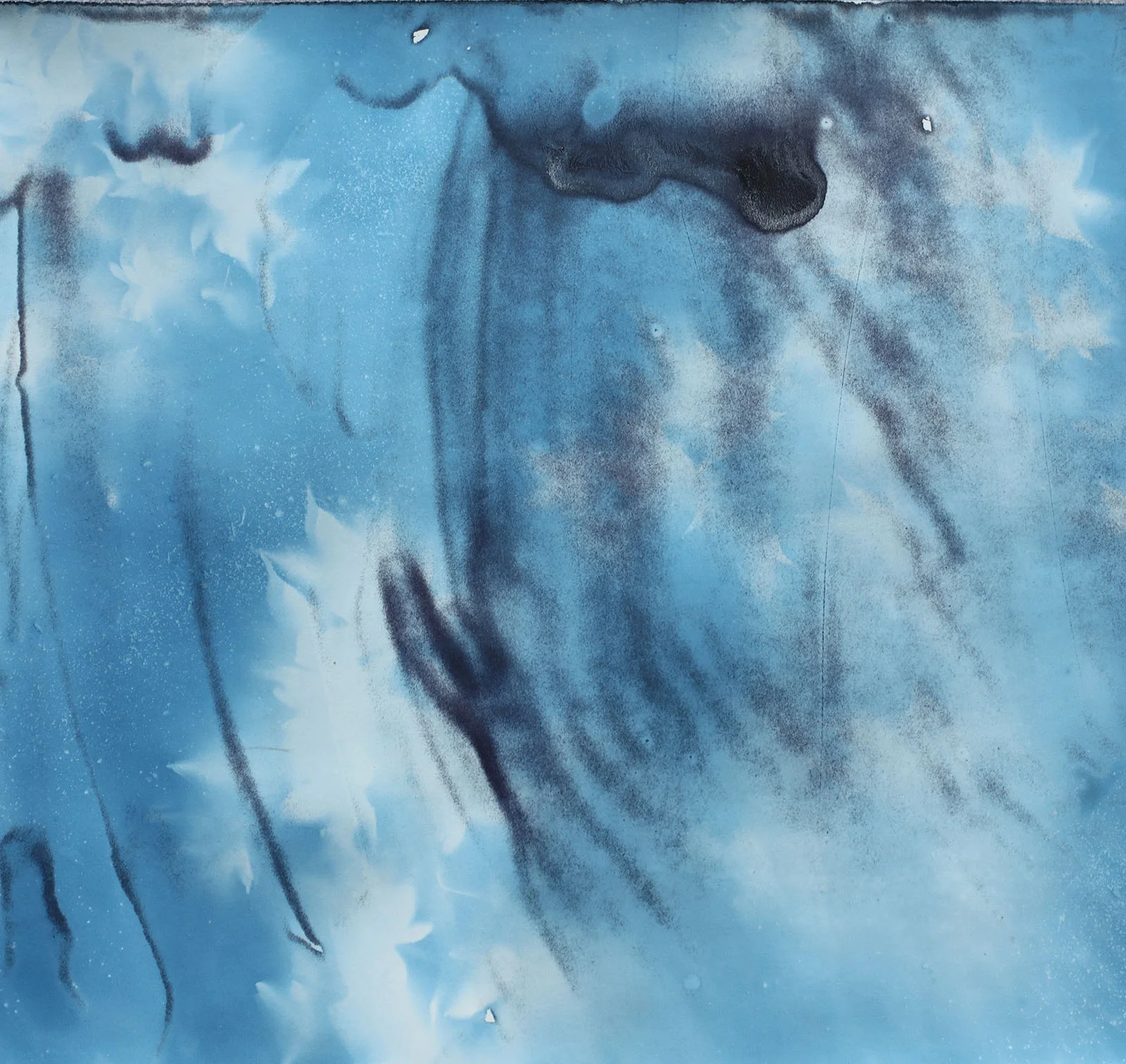 Gyeongju Abstract Leaves, Cyanotype on rag paper (2018)