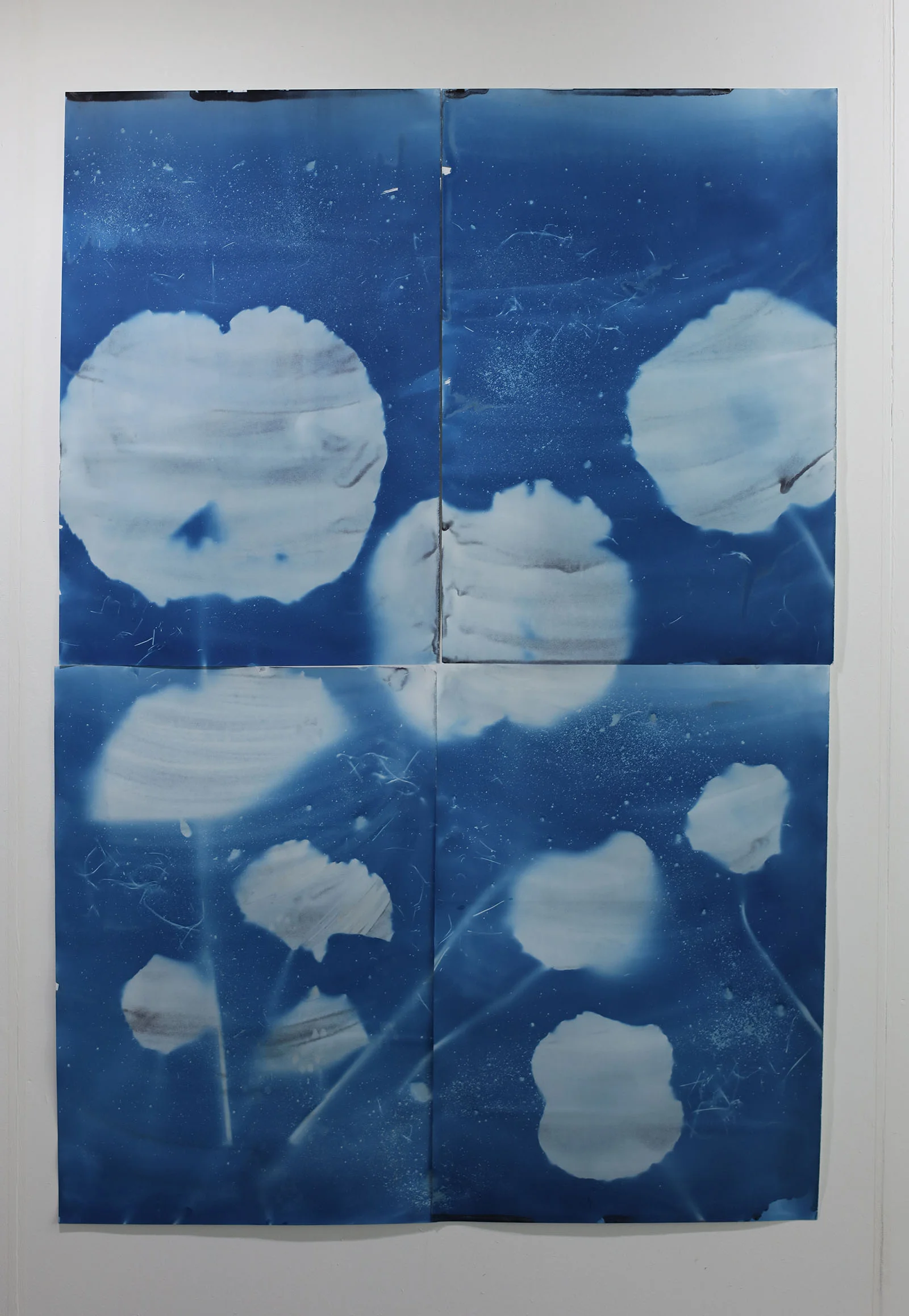 Lotus Leaves grid of four , cyanotype on paper (2018)