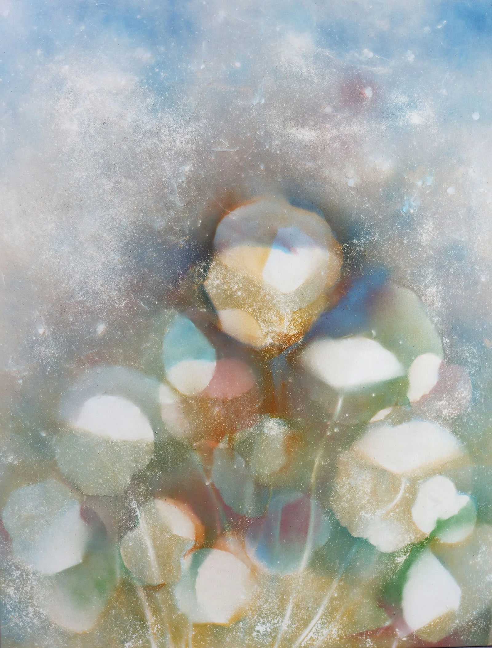 Radiant Meditations, 57” x 44”, spray paint on canvas from collected plants in Gyeonju, Korea (2018)