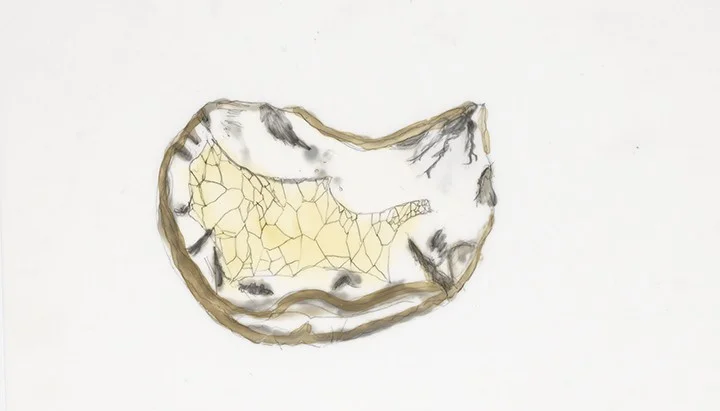 65_65_agate1.jpg