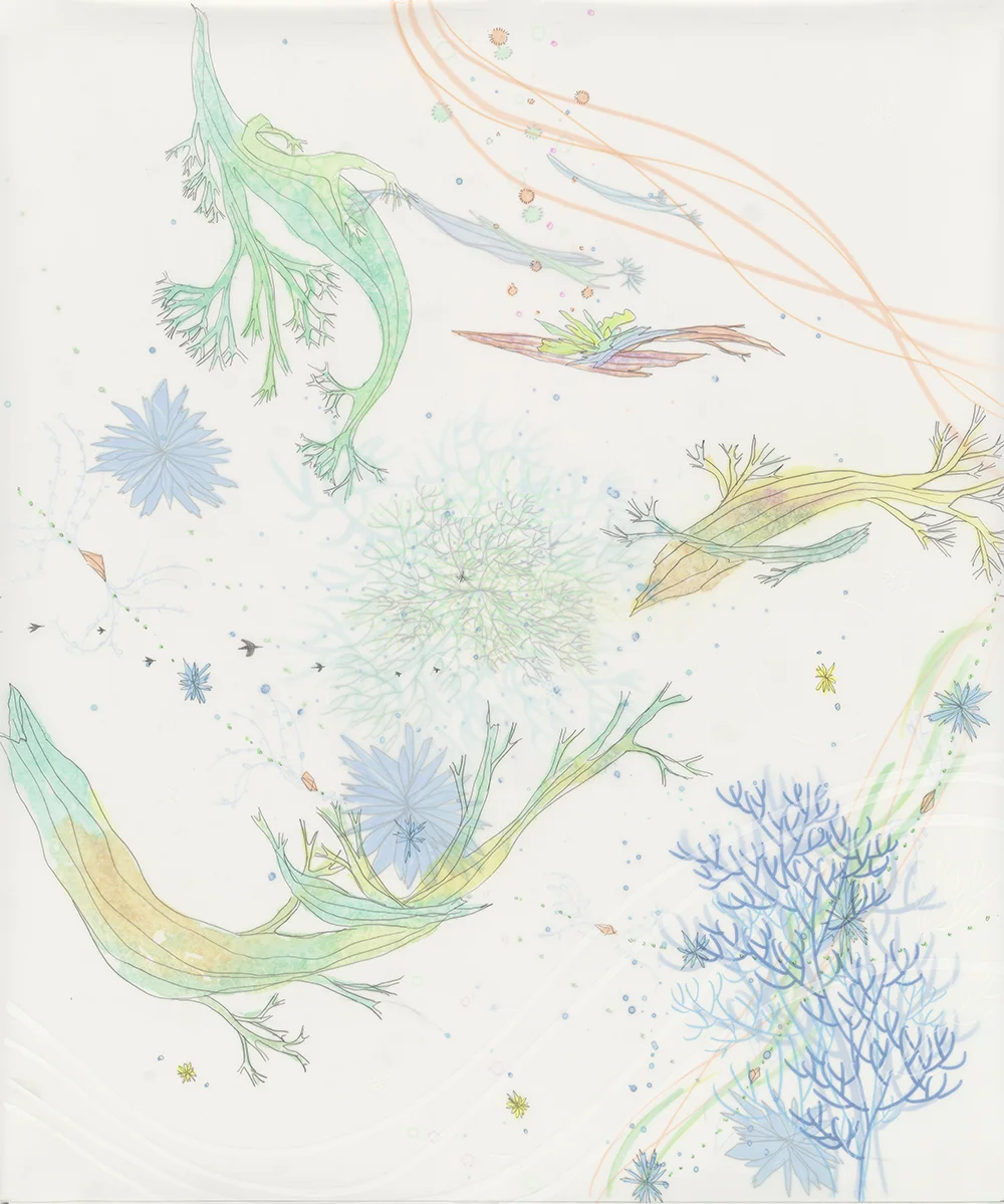 Mountain Air V , 24” x 20”, mixed media on Mylar (2019)