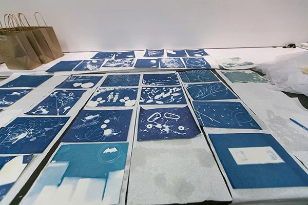 cyanotypes.jpeg