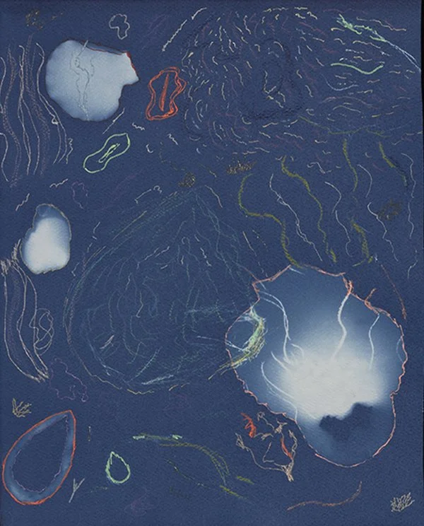 Cyanotype by Chelsea Ramirez