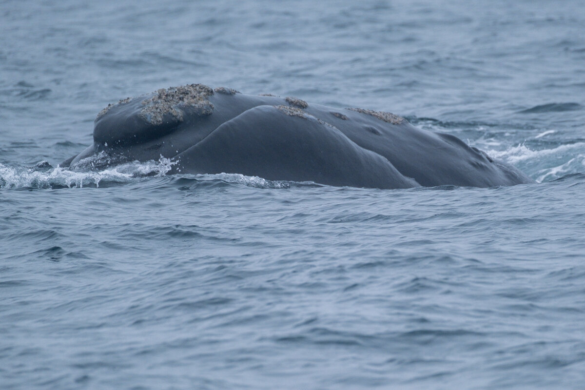 DSCF6607.jpg
