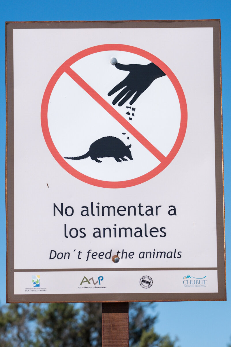 DSCF7235.jpg