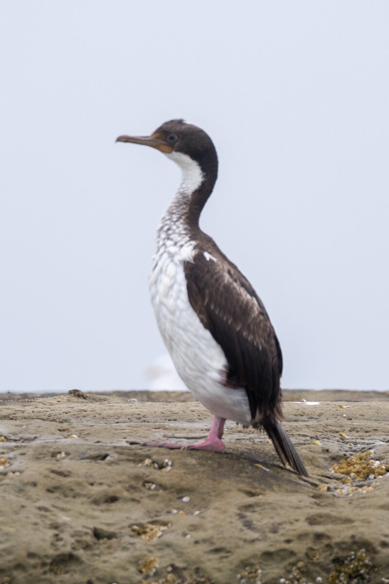 DSCF6863.jpg