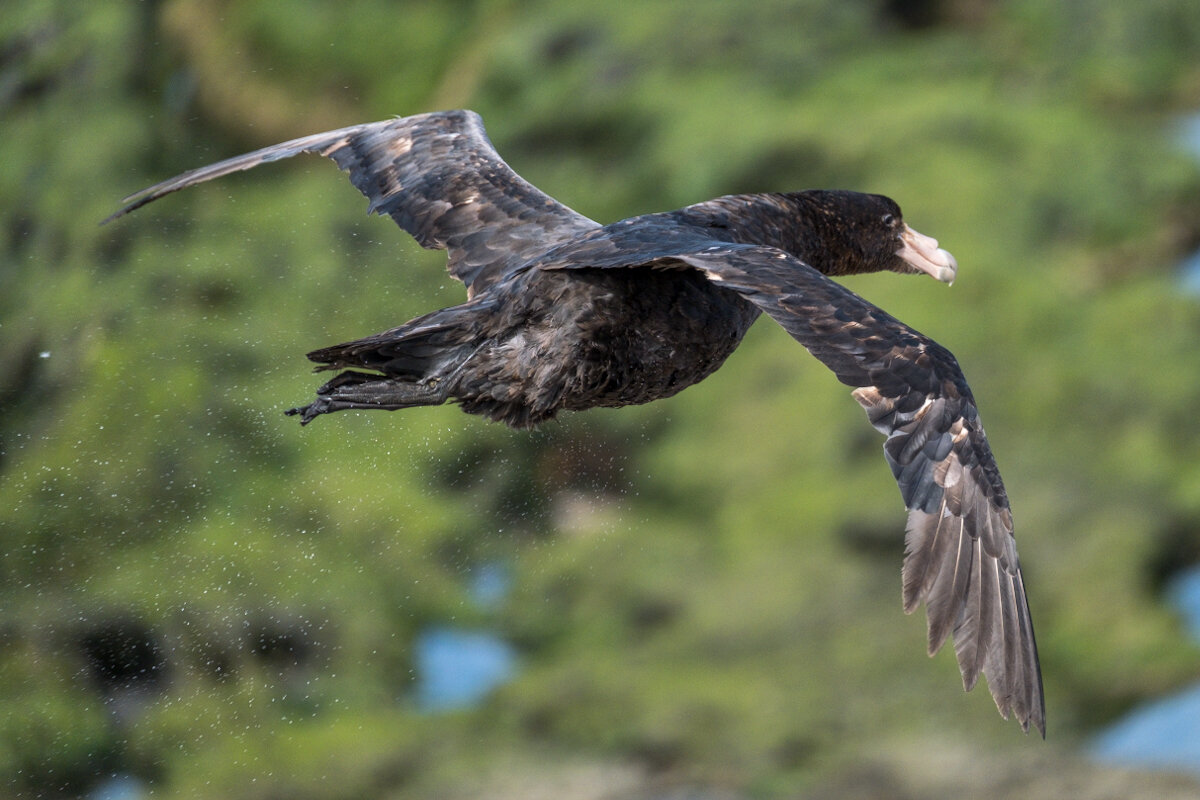 DSCF7318.jpg