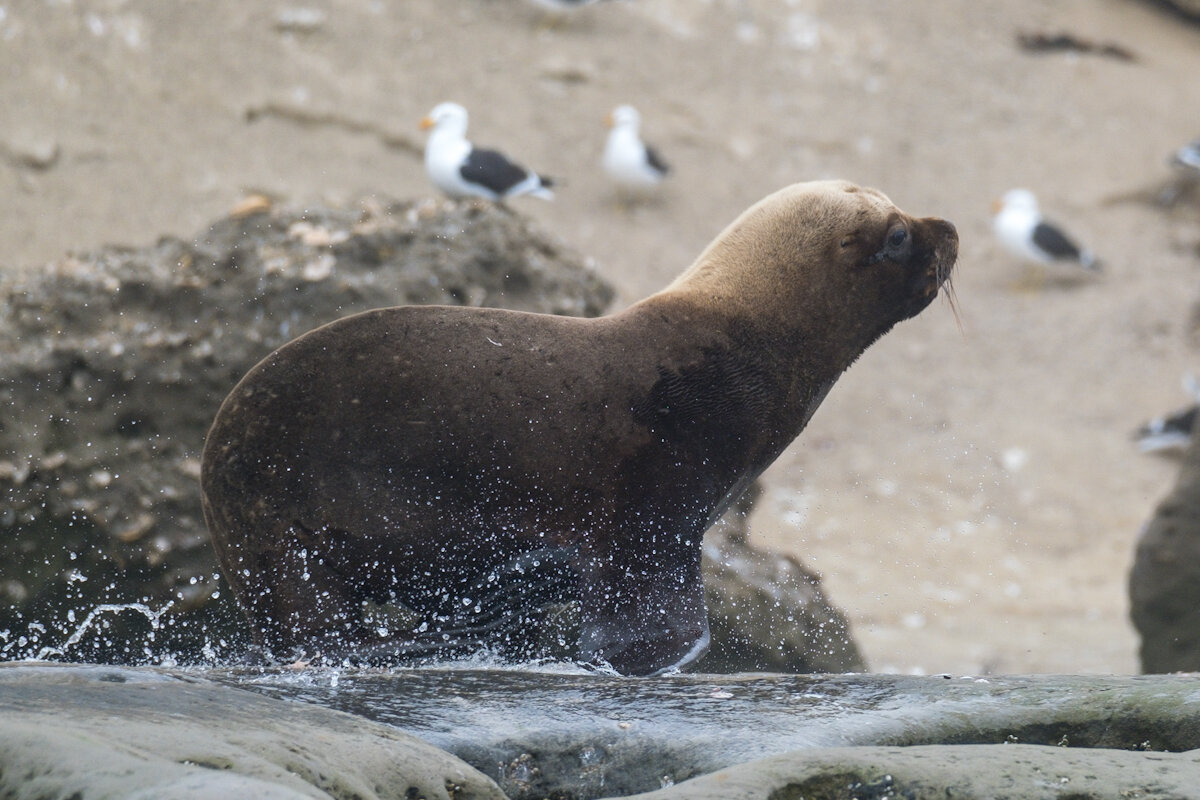DSCF6877.jpg