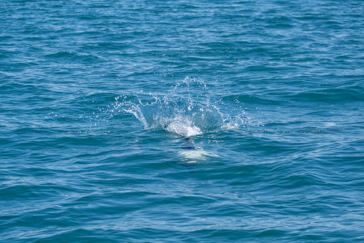 DSCF7557.jpg