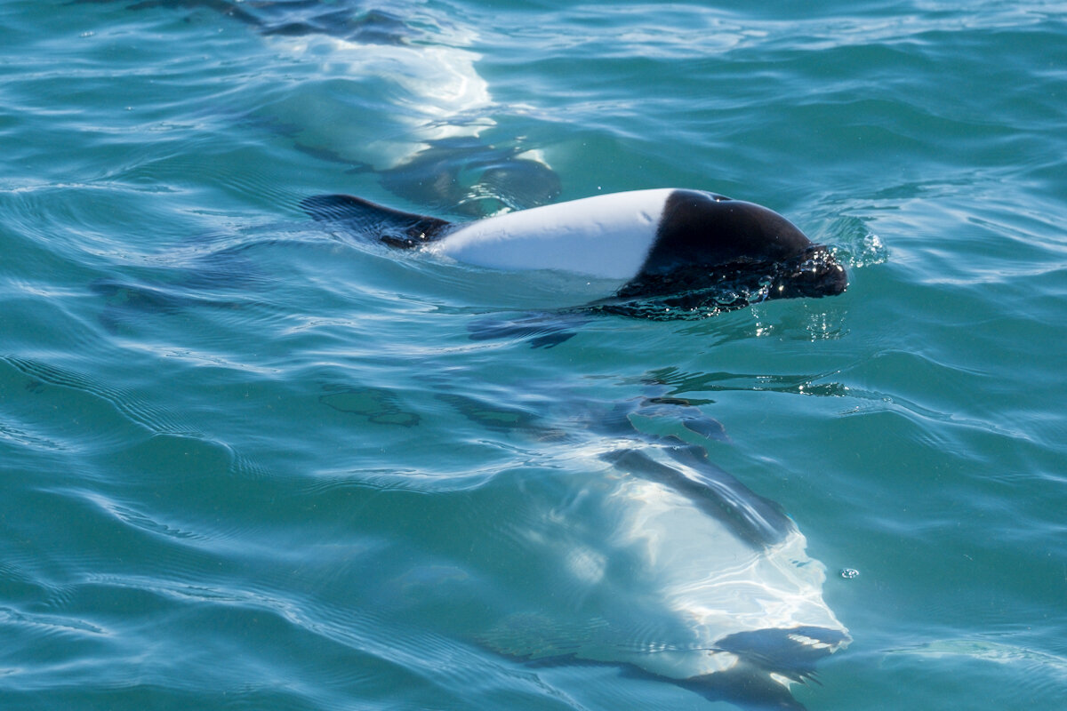 DSCF7551.jpg