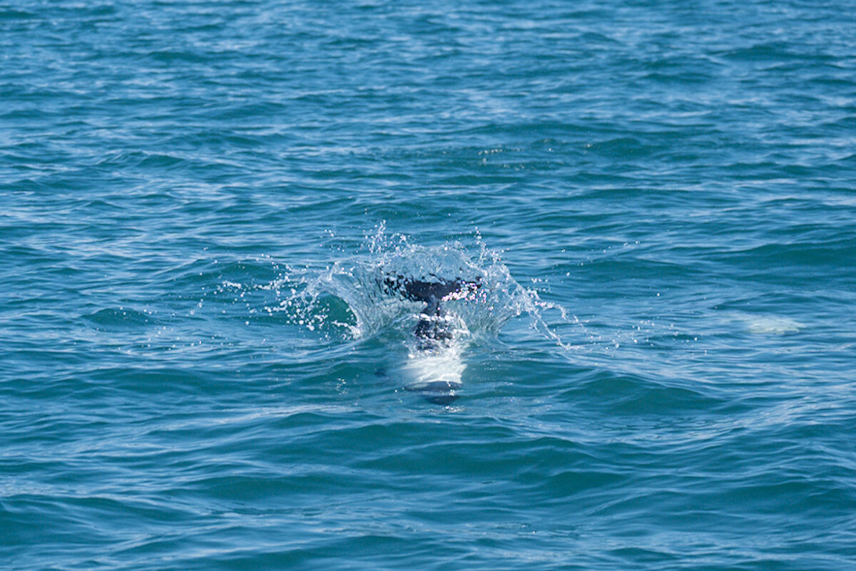 DSCF7556.jpg