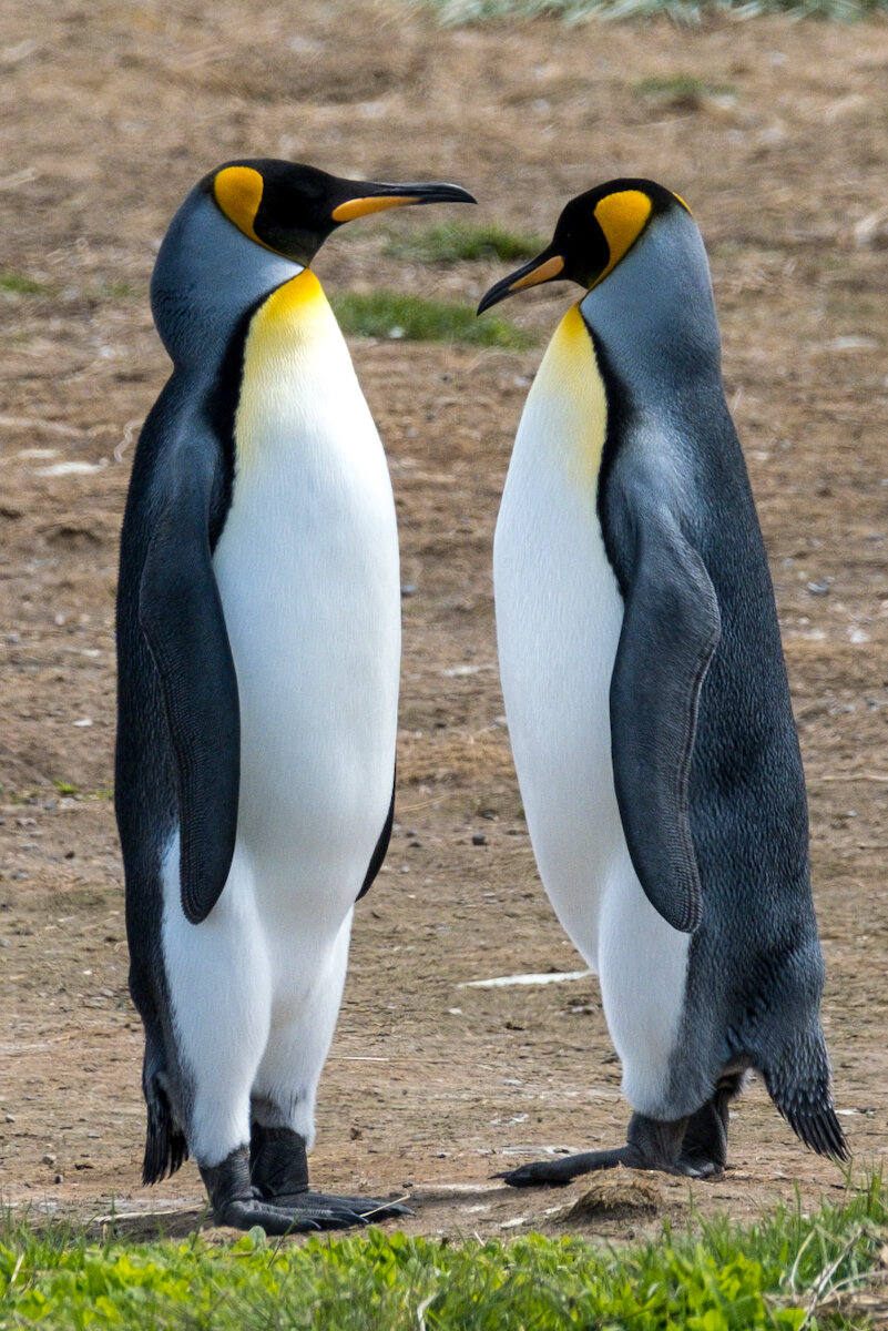 DSCF8507.jpg