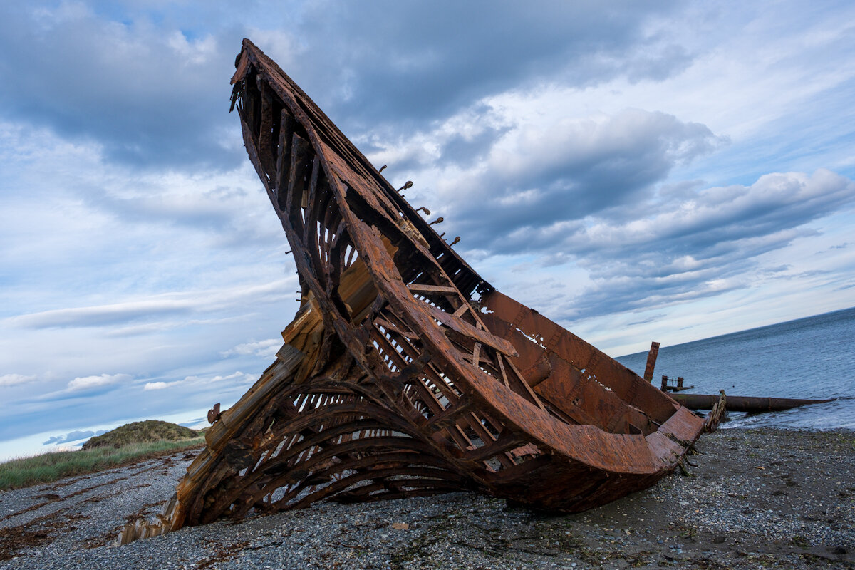 DSCF8893.jpg