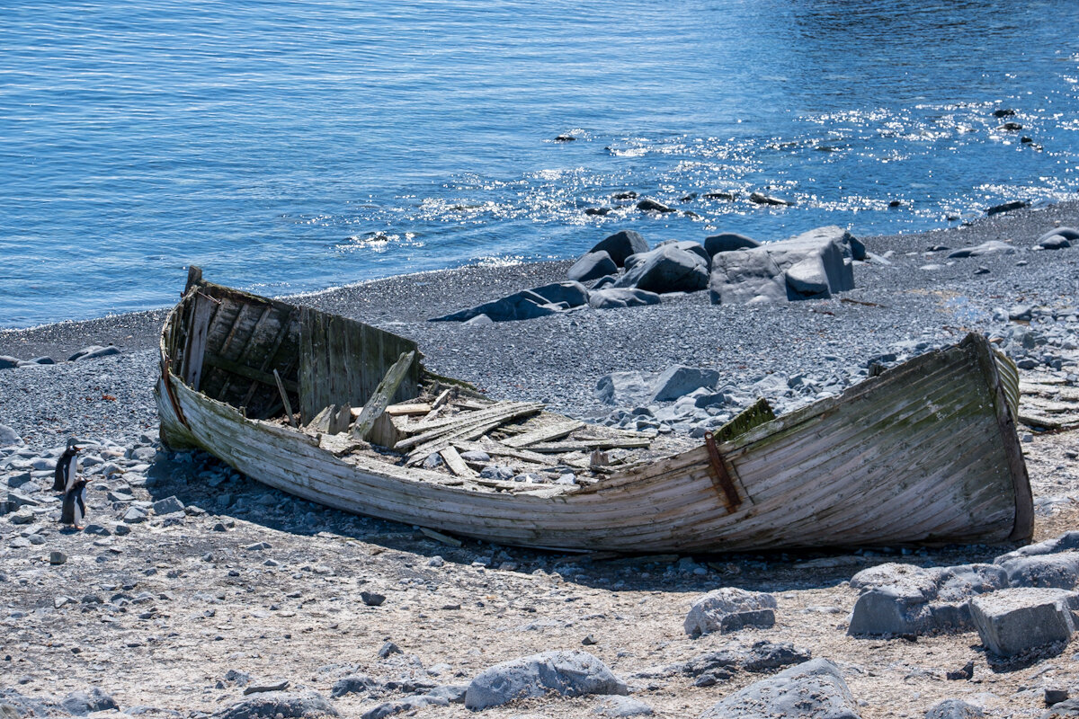 DSCF2484.jpg