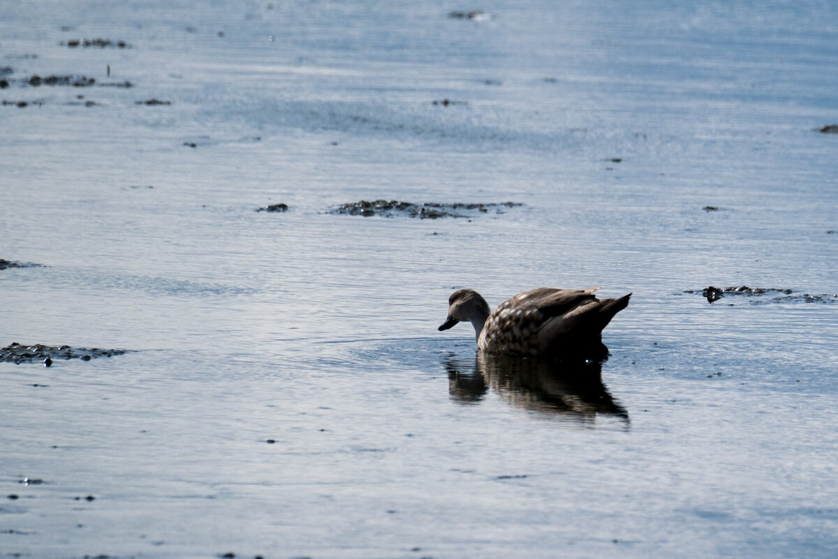 DSCF3459.jpg