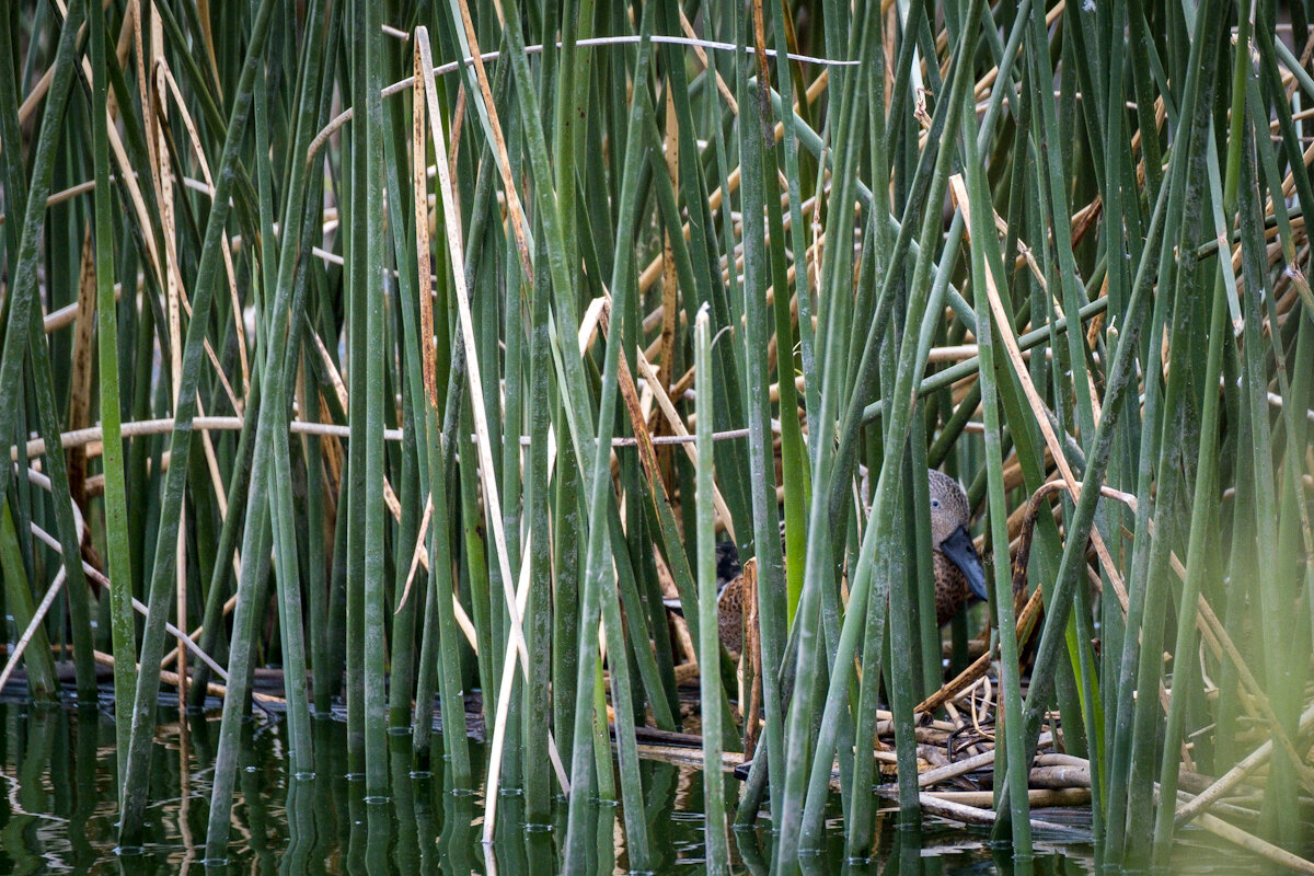 DSCF3140.jpg