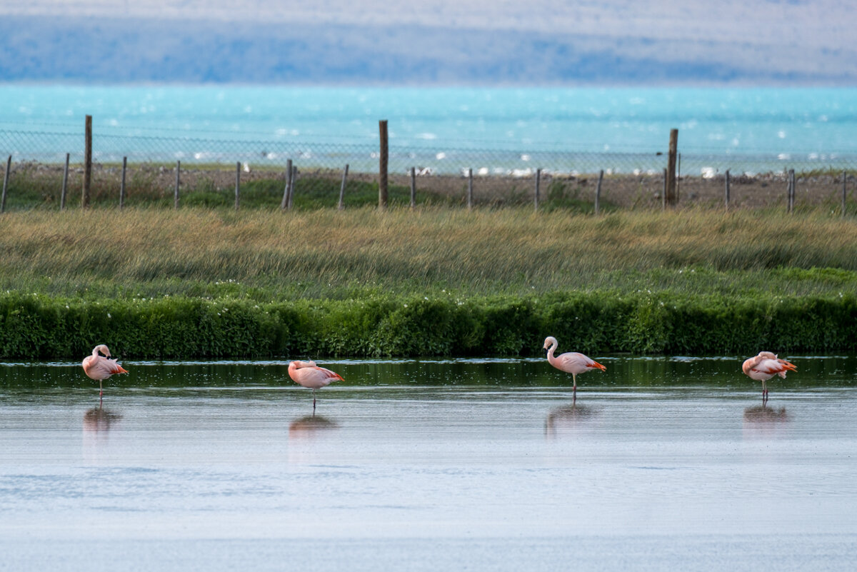 DSCF3514.jpg