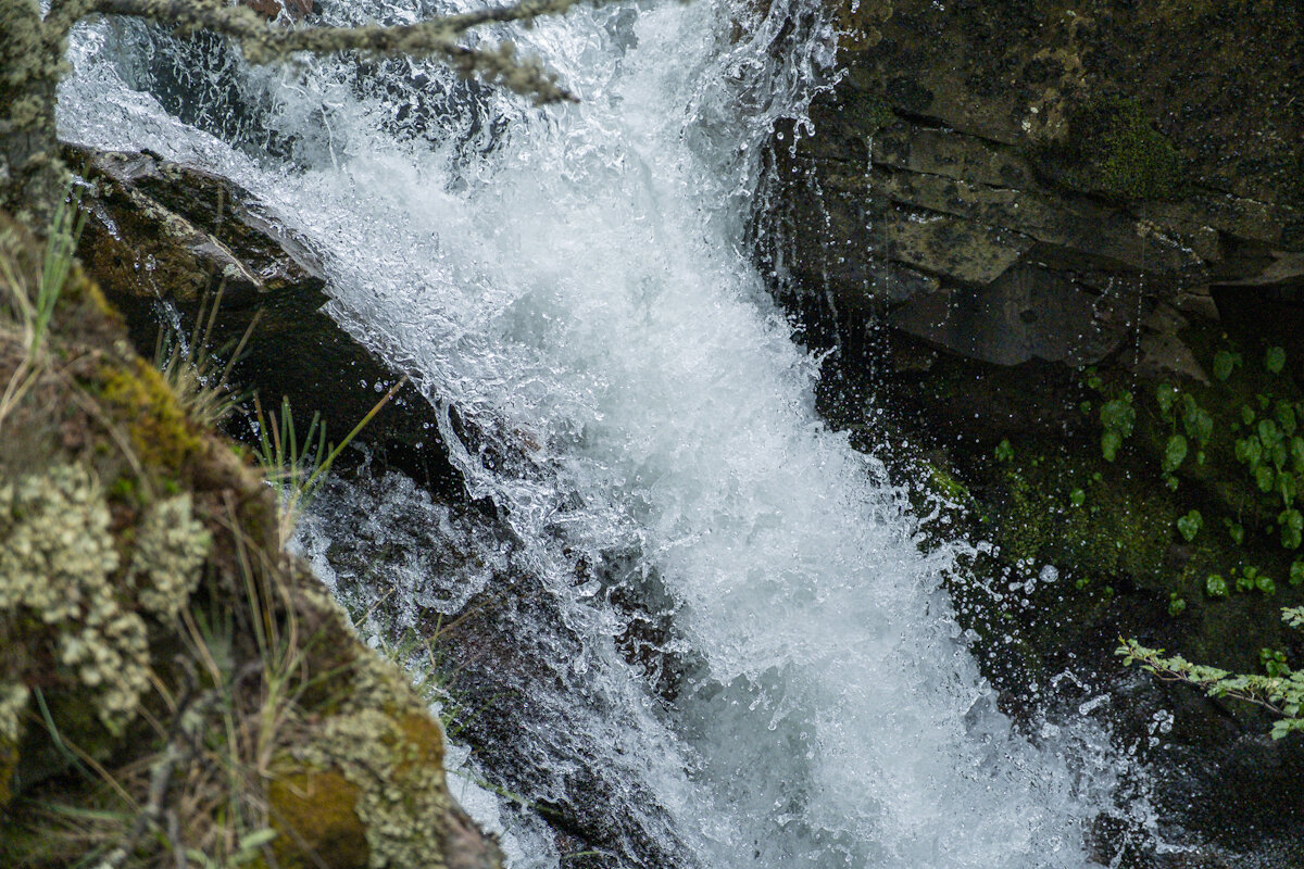 DSCF3708.jpg