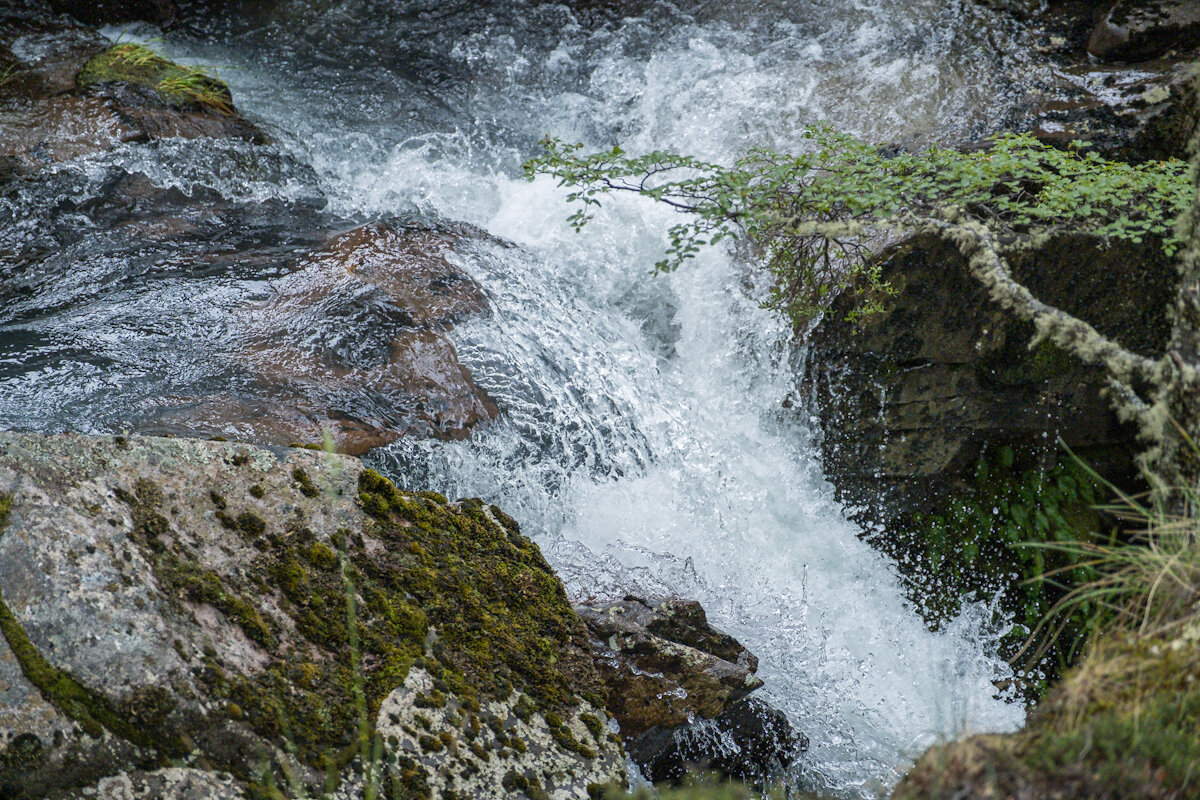 DSCF3707.jpg