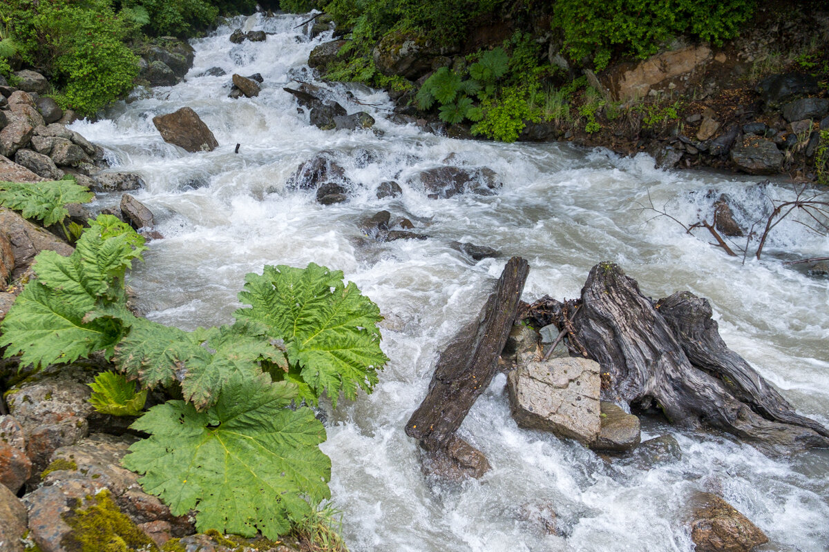 DSCF3791.jpg
