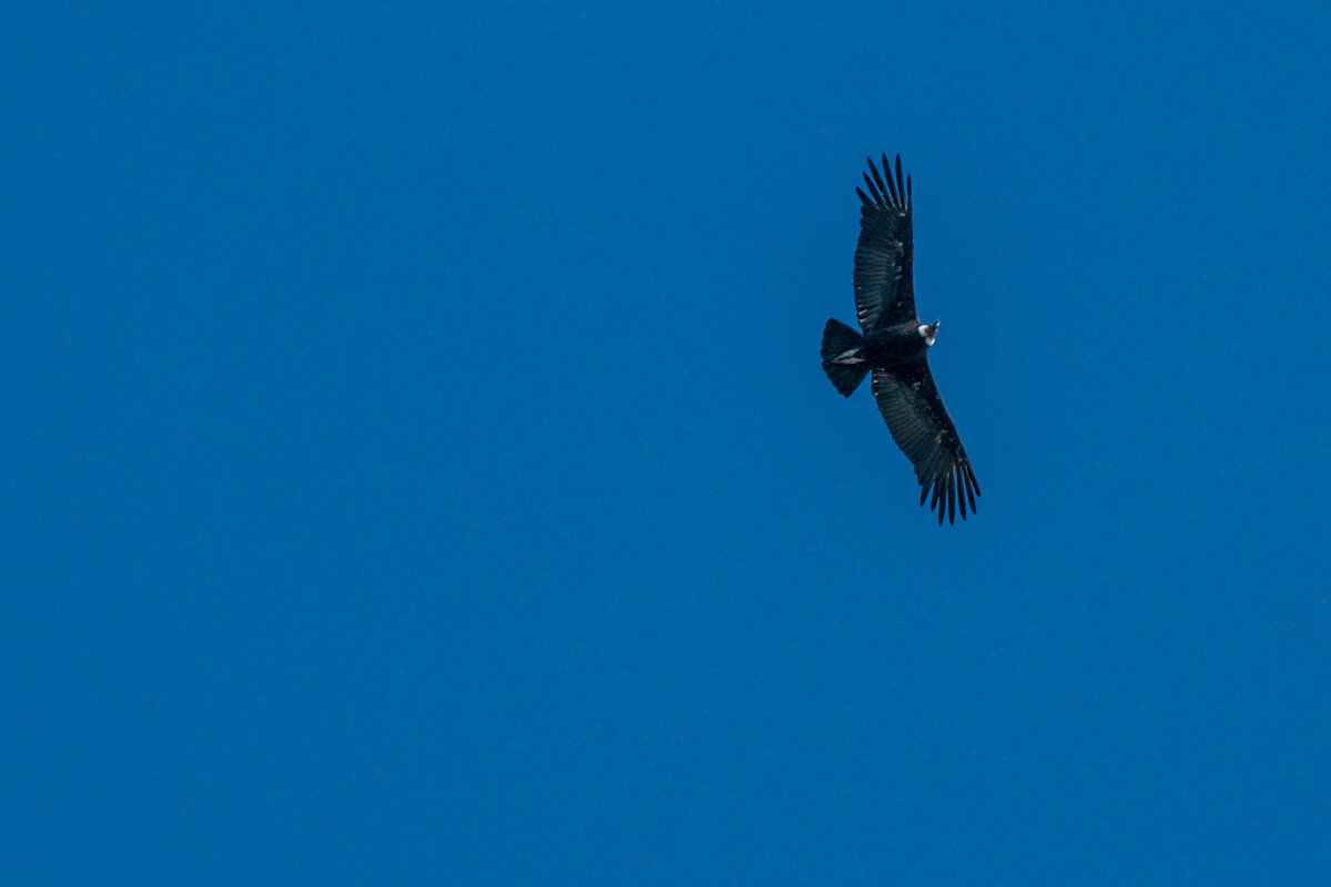DSCF3960.jpg