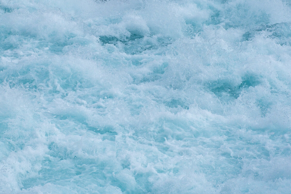 DSCF4134.jpg