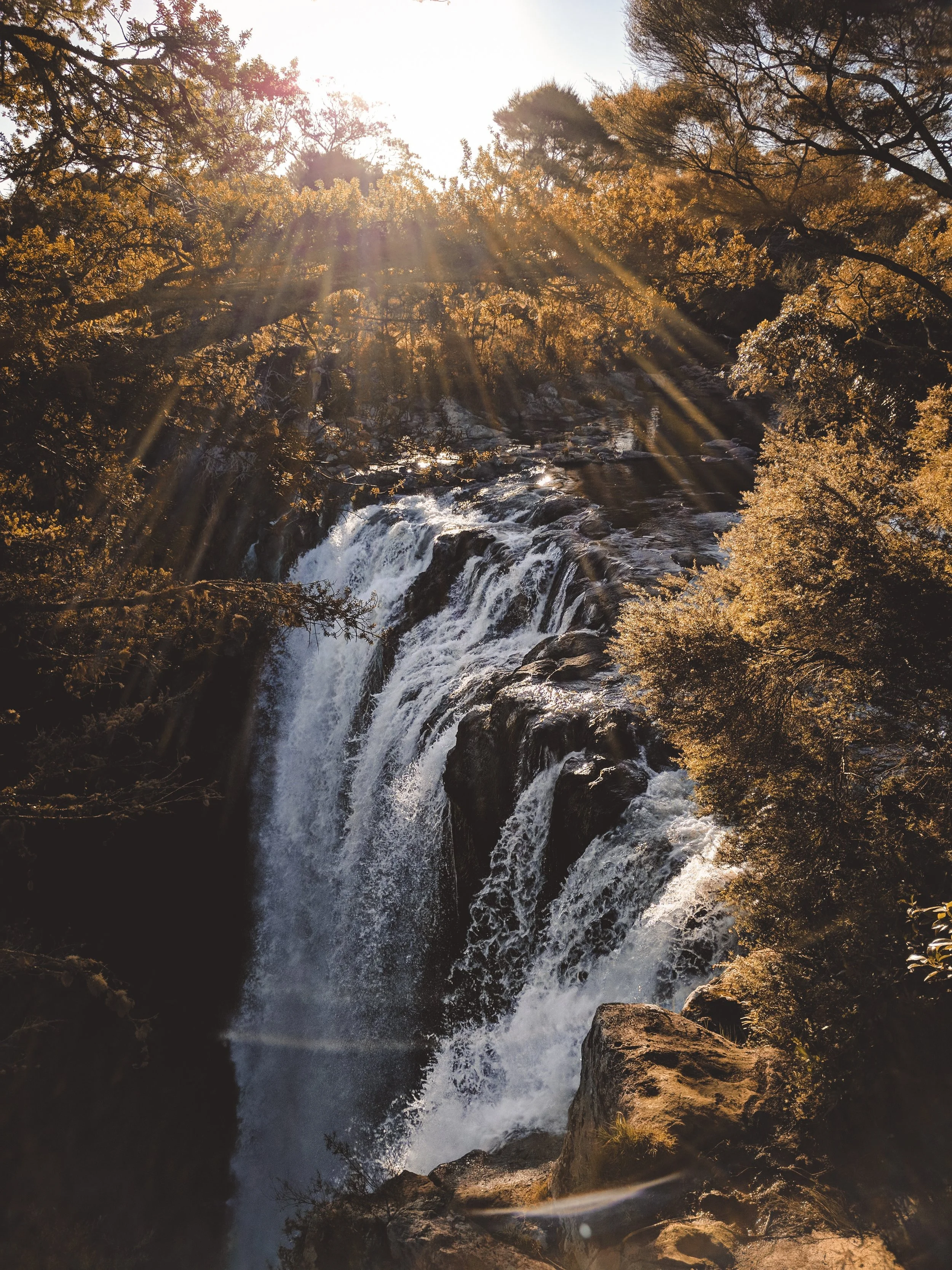 tyler-lastovich-283559-unsplash.jpg