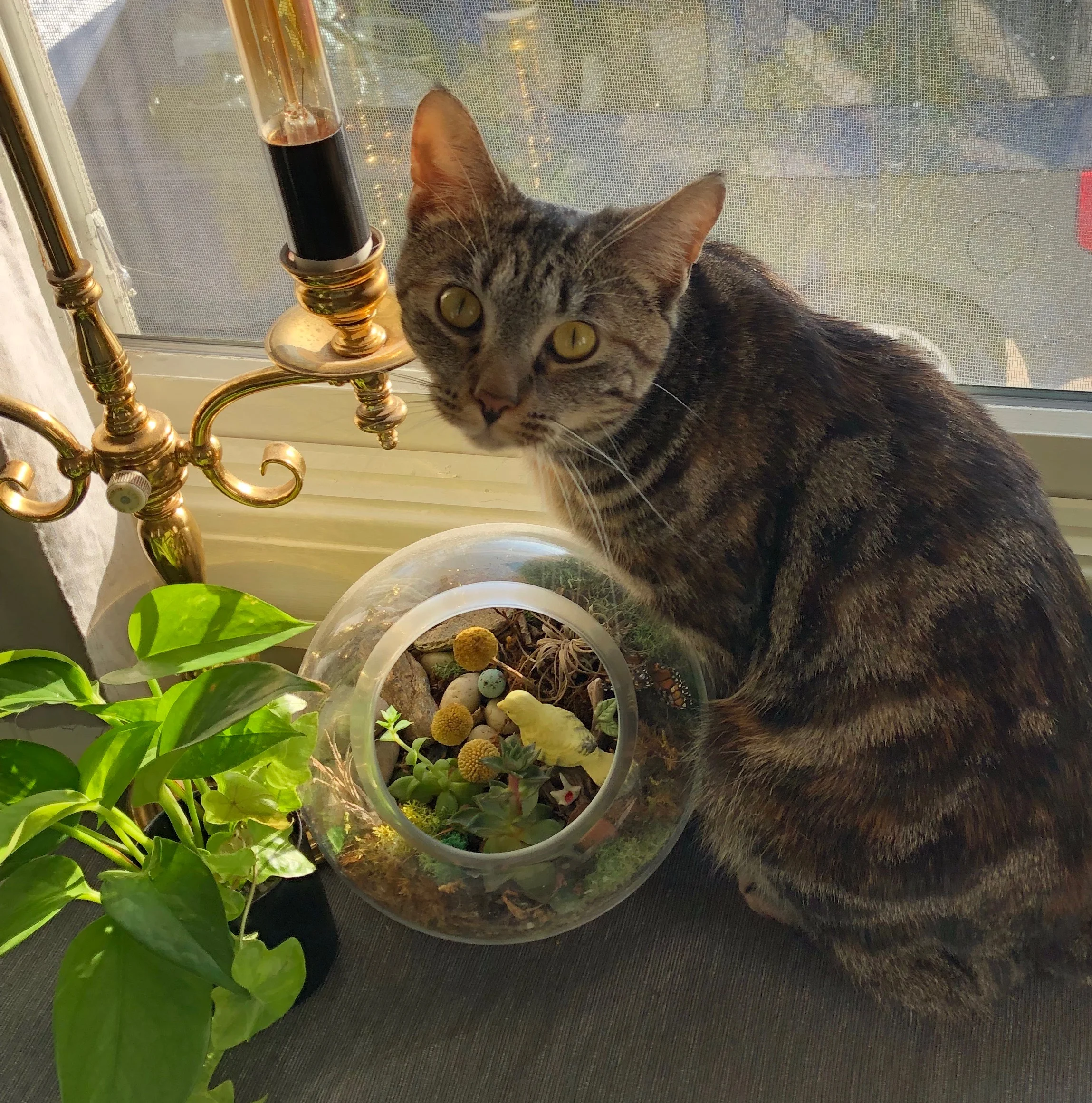 terrafloramaine.com - Vertical Gardens in Brunswick, ME