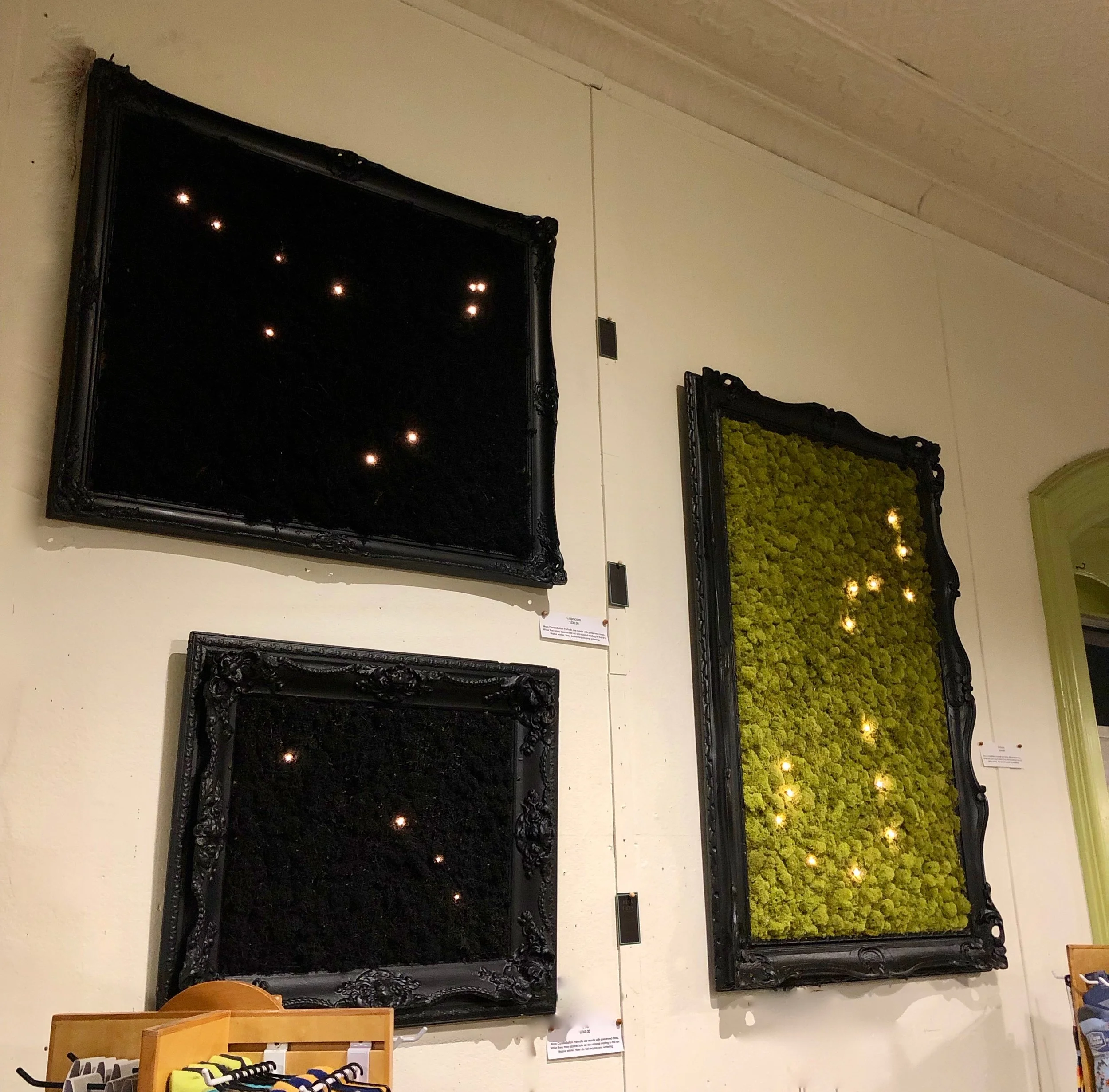 terrafloramaine.com - Vertical Garden in Brunswick, ME