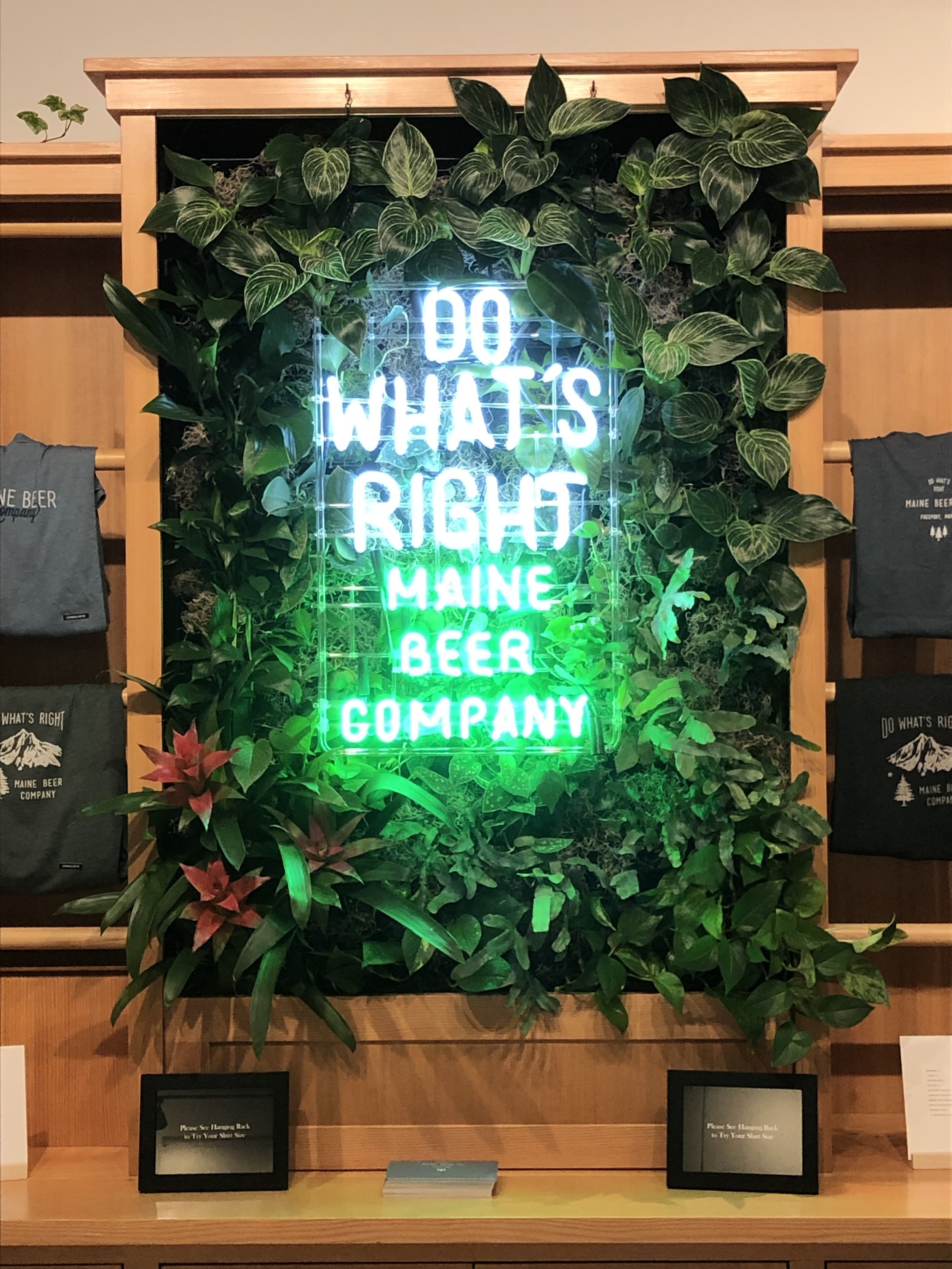 TerraFlora VG - Maine Beer Company, Freeport Maine