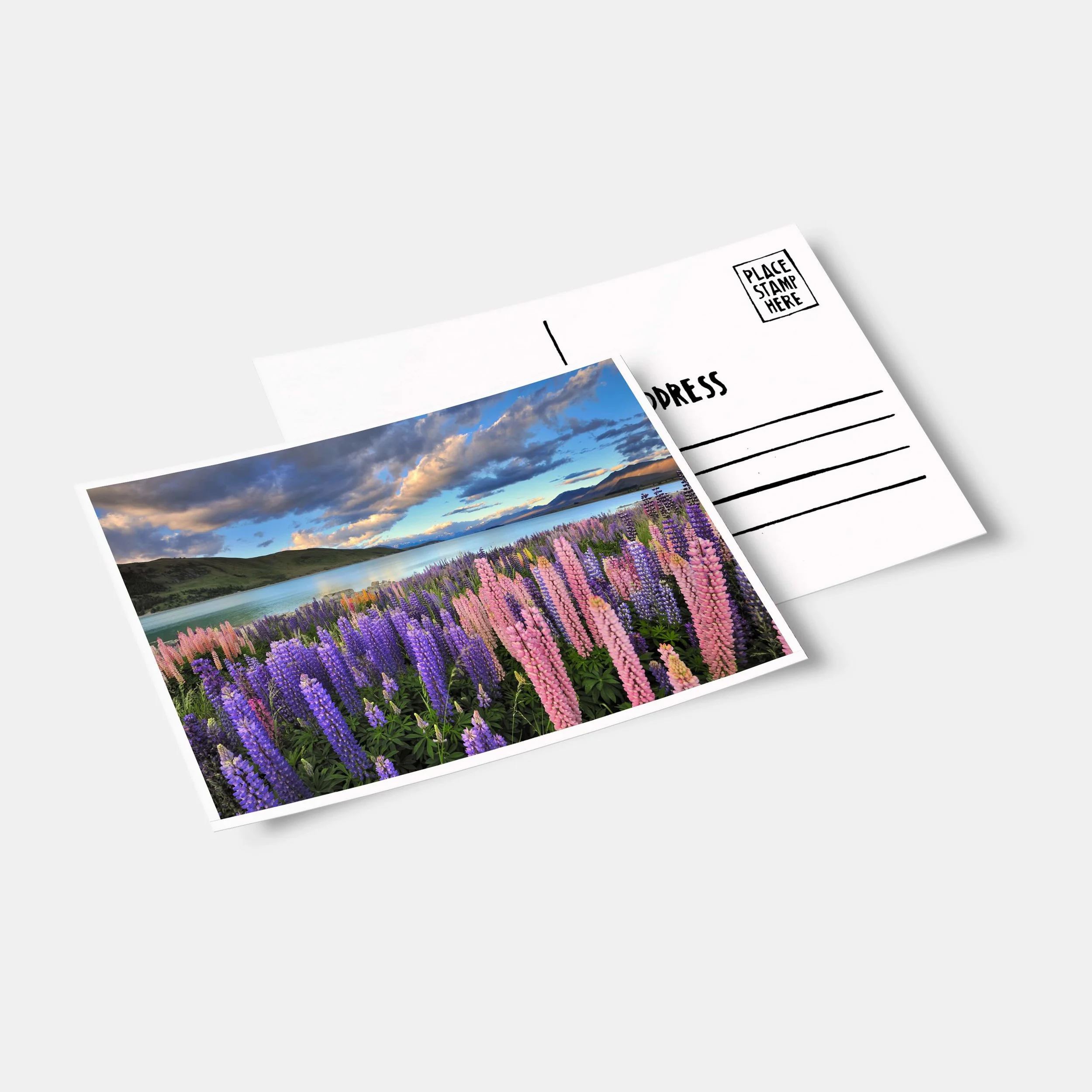 Post Cards — Better.