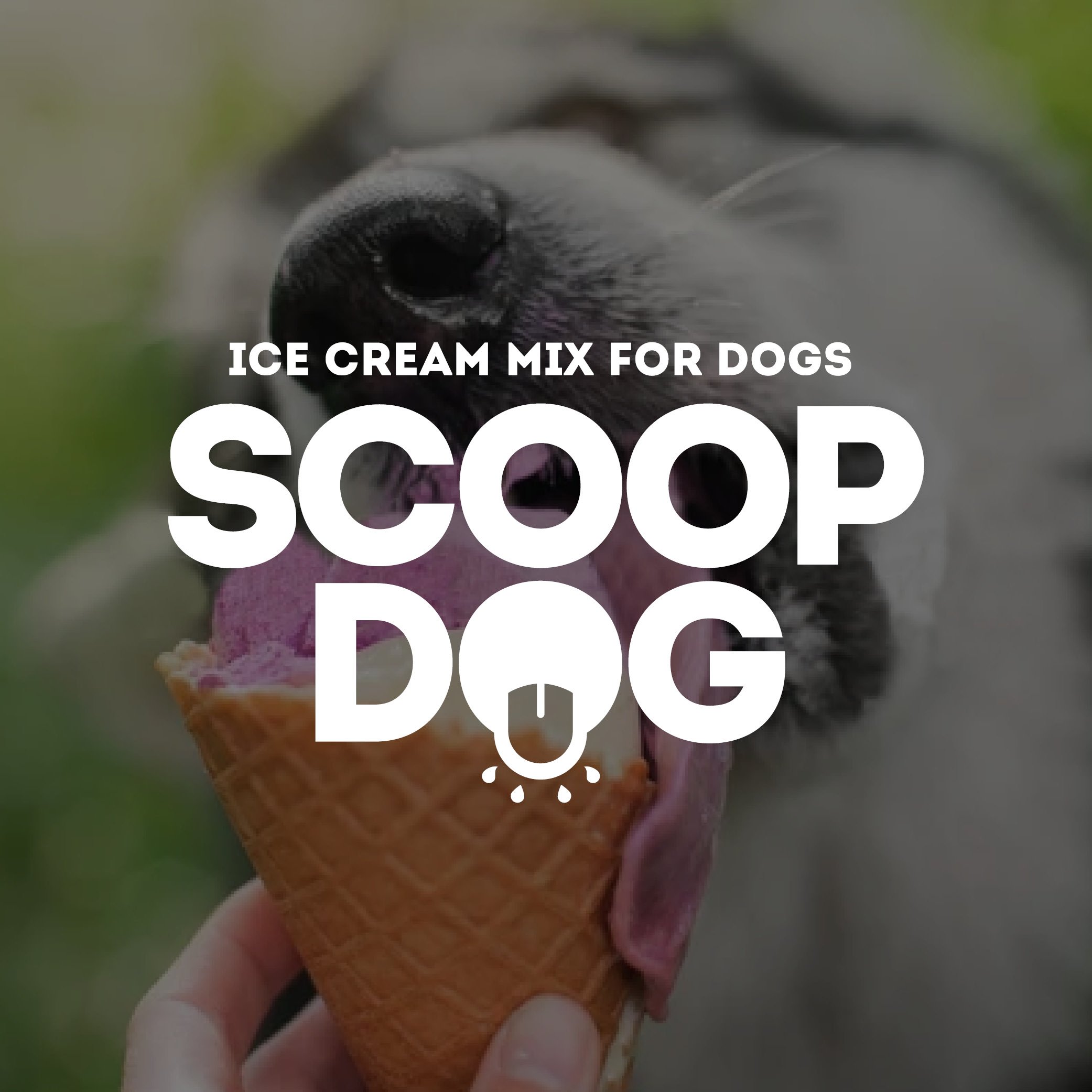 Scoop Dog - SM Tile 3.jpg