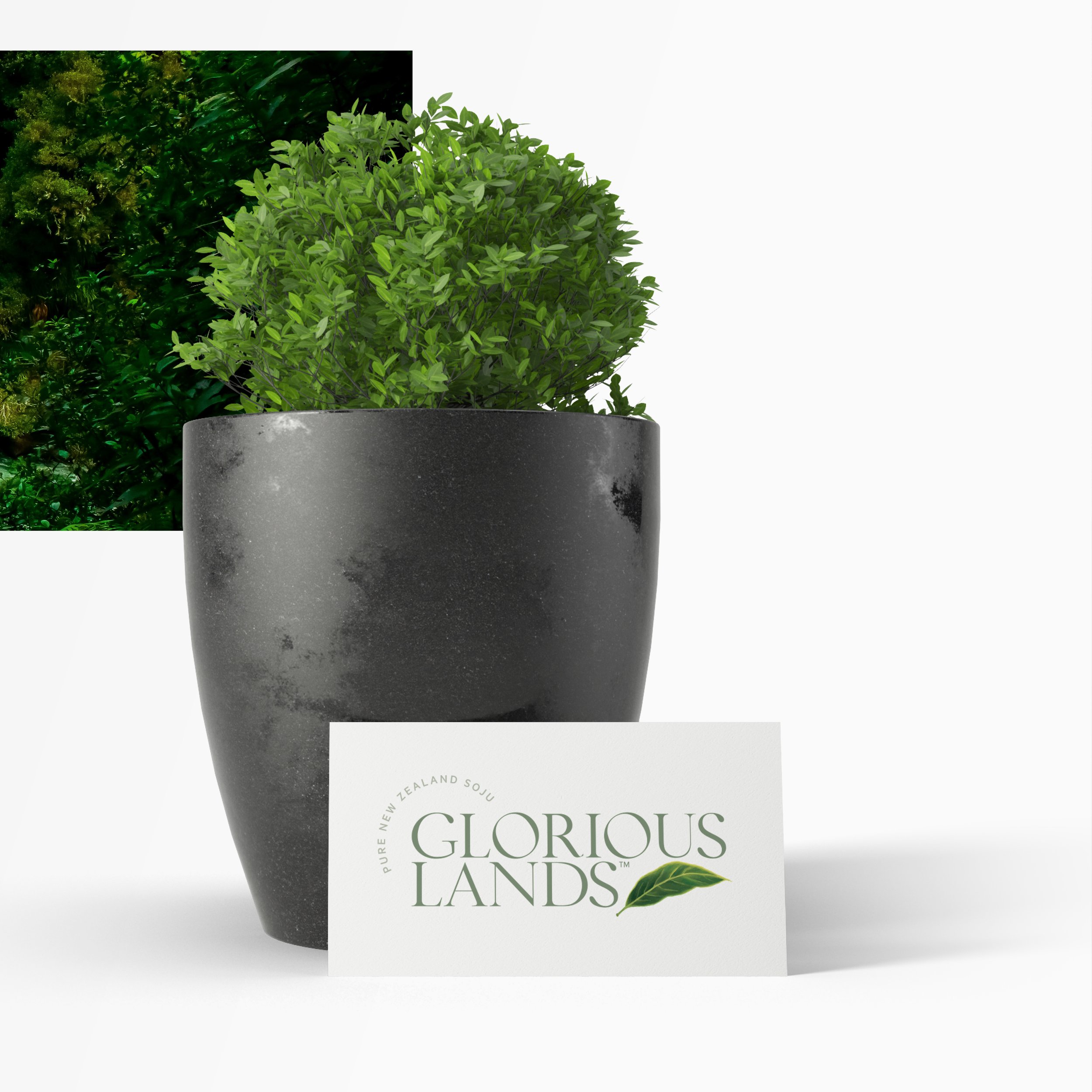 Glorious Lands - Social (Brand Launch)6.jpg