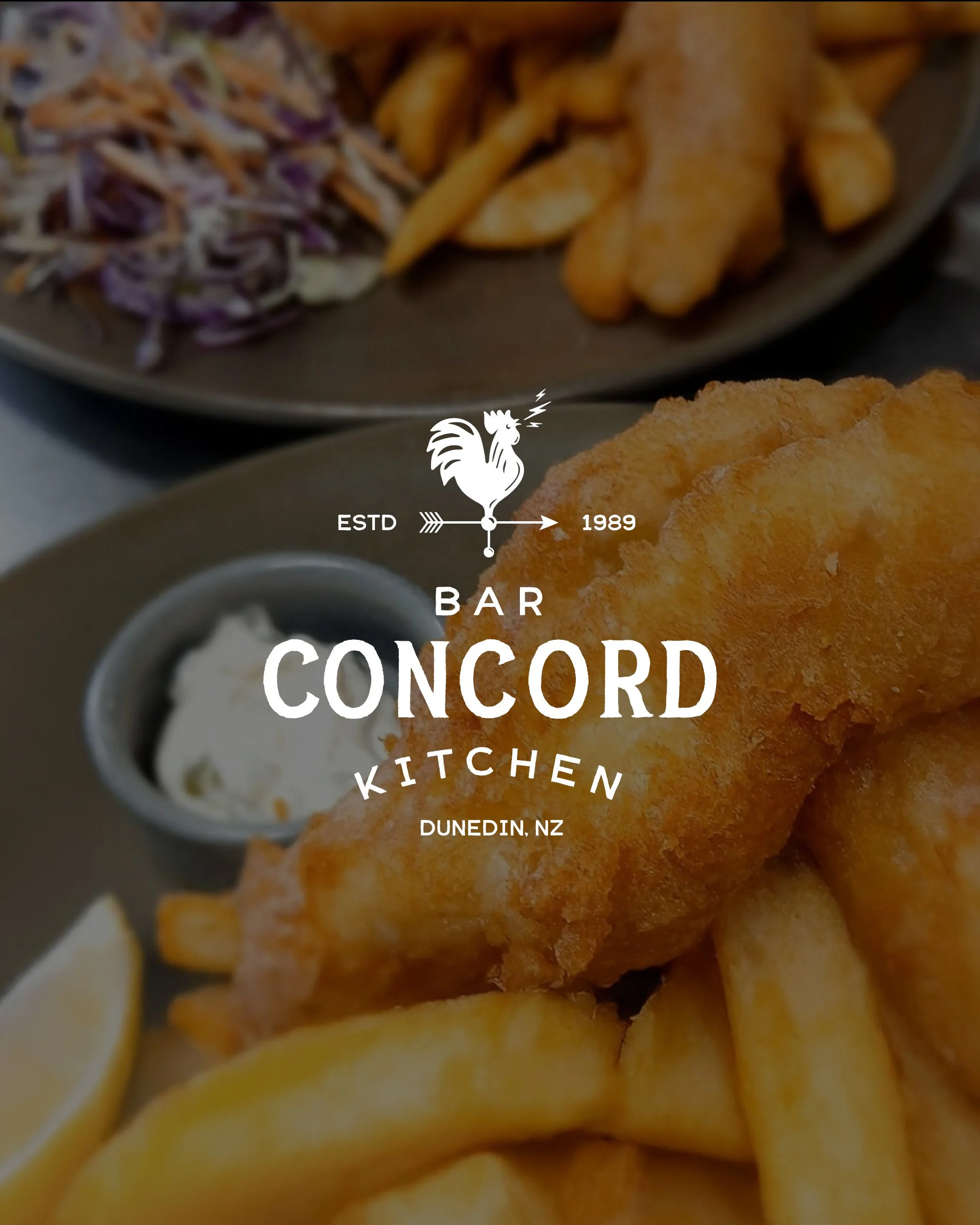 Concord - Social (Brand Launch)4.jpg