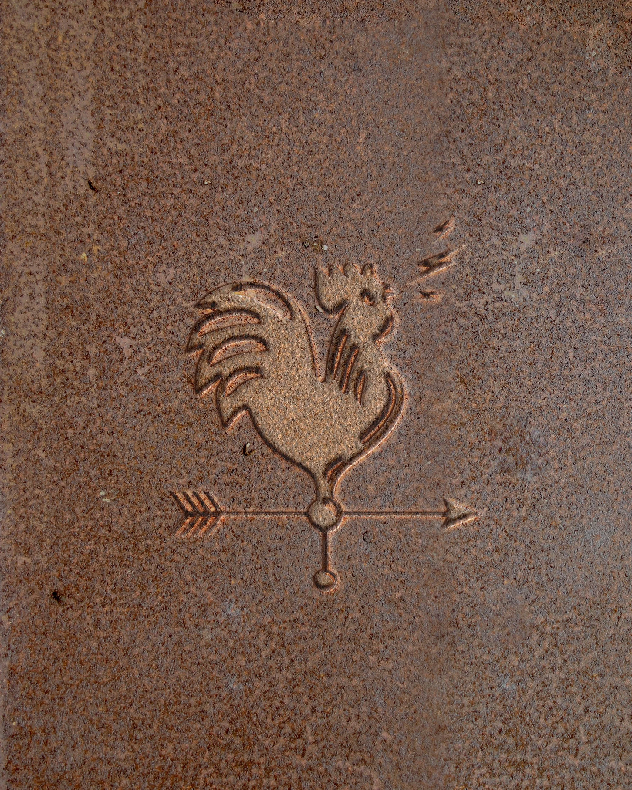 Concord - Social (Brand Launch)10.jpg