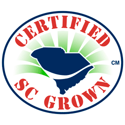 CSCGrown.png