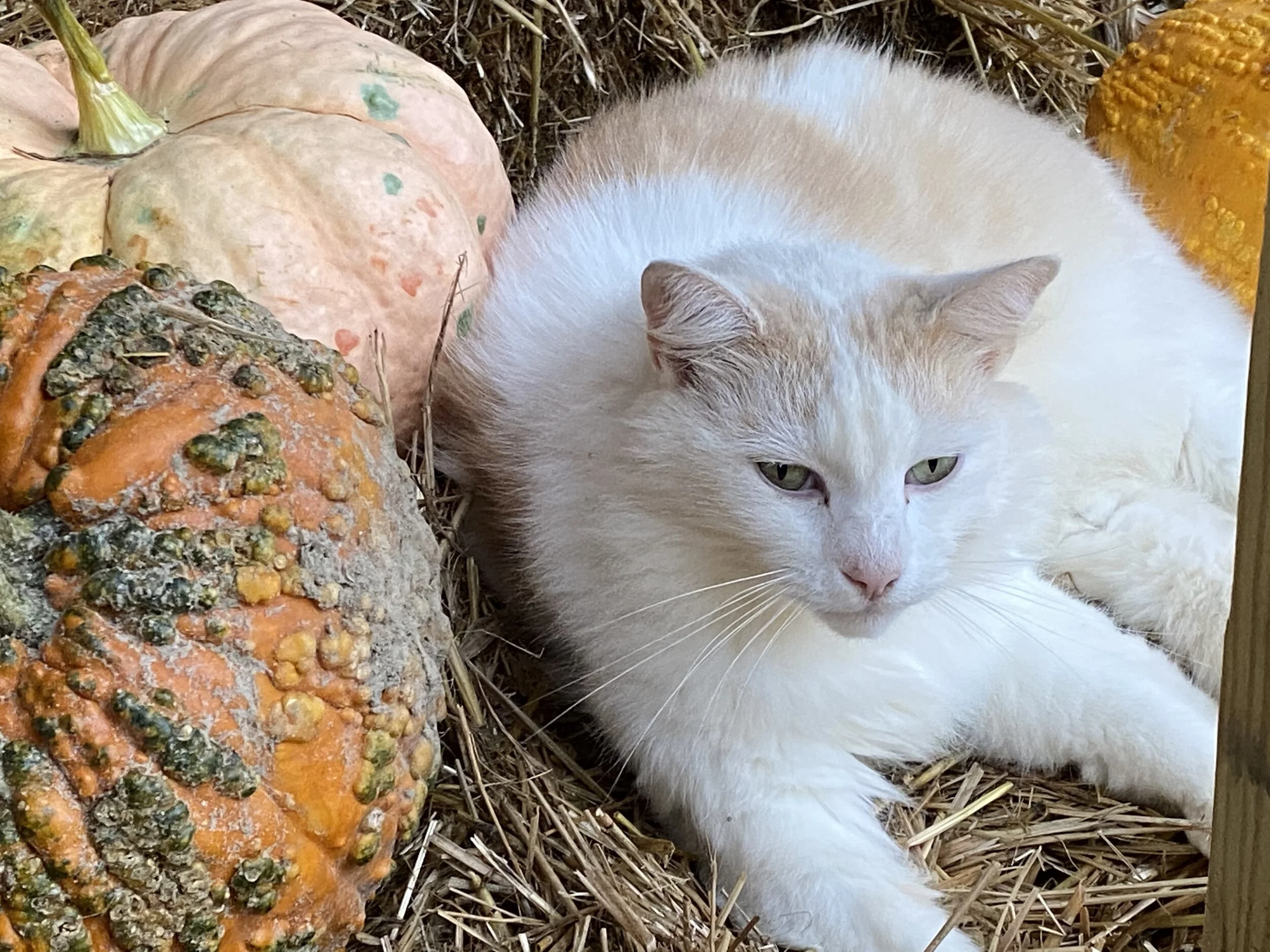 2024 Season coming to the end in next 2 weeks...... November 3, 2024