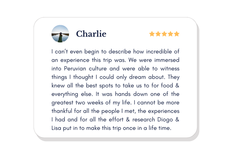 Traveller review on Trustpilot