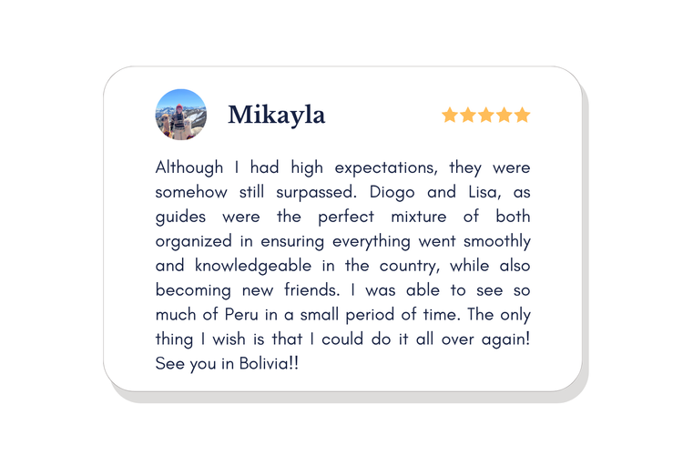 Traveller review on Trustpilot