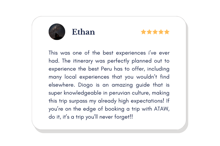 Traveller review on Trustpilot