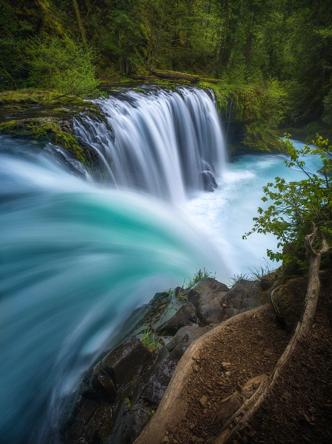 PACIFIC NORTHWEST SPRING ADVENTURE  | APRIL 25-29 - MAY 1-5