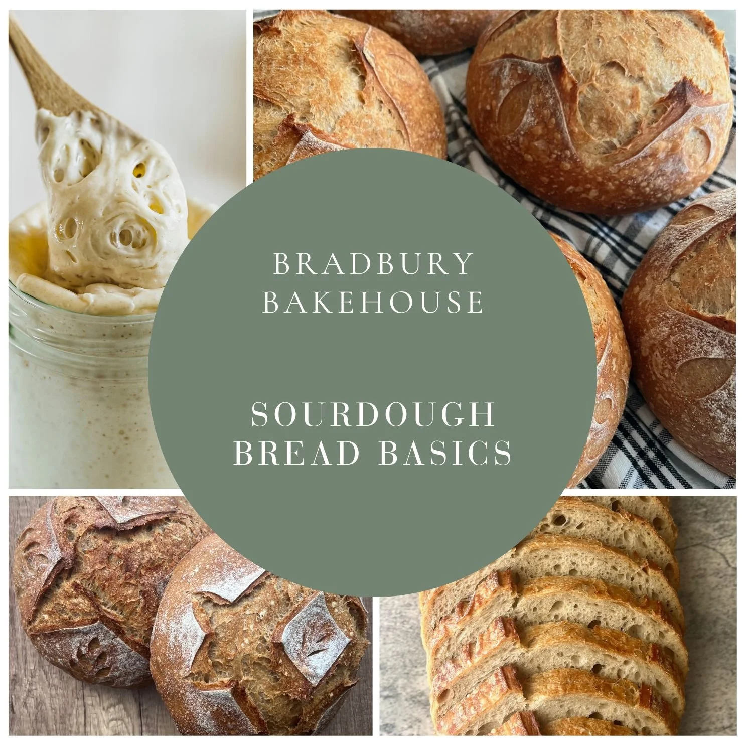 Sourdough Bread Basics - September 8th - 6 pm